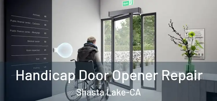  Handicap Door Opener Repair Shasta Lake-CA